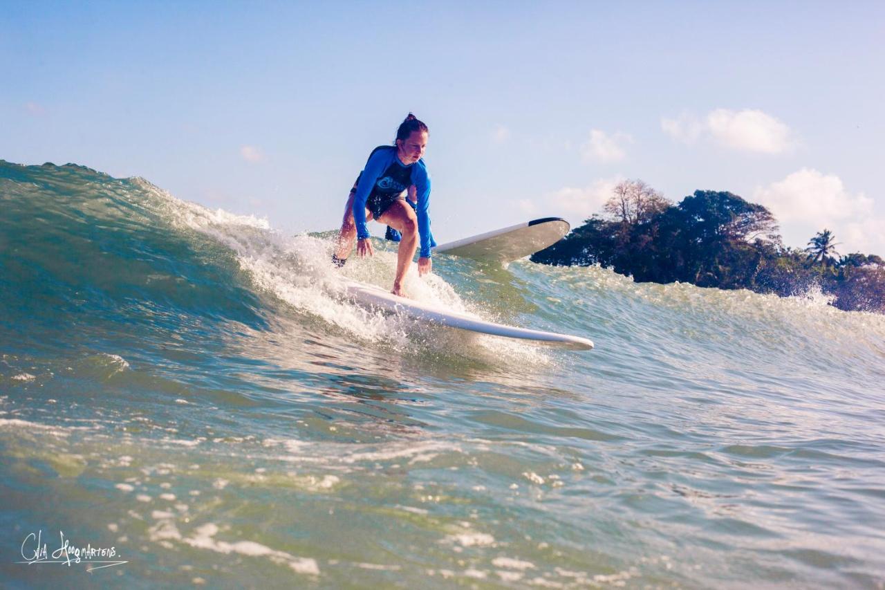 The Surfer Sri Lanka - Surf Camp Hotell Weligama Exteriör bild
